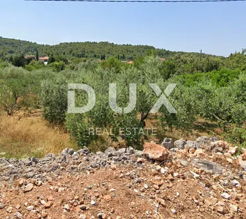 OTOK PAŠMAN - Građevinsko zemljište 180 metara od mora - Ždrelac, Pašman