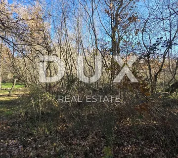 ISTRA, TINJAN - Građevinsko zemljište zadnje u zoni gradnje - cover