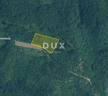 ISTRA, GRAČIŠĆE - 8.200 m² šume, pravilnog oblika, 6 minuta od Gračišća - cover