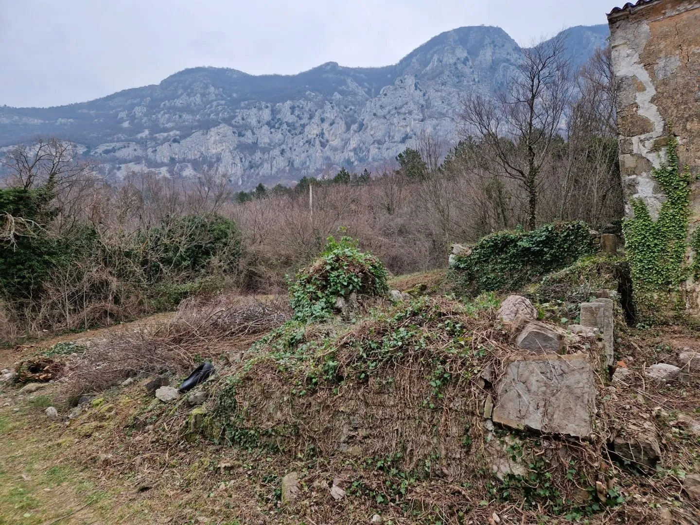 Fotografija