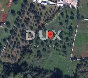 ISTRA, GALIŽANA - Zemljište s potencijalom - cover