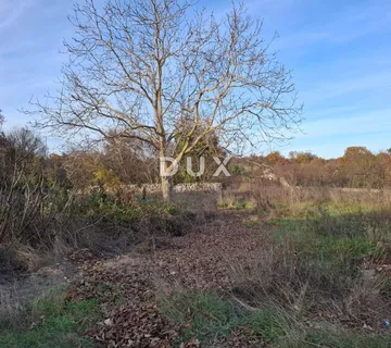 ISTRA, BALE - Građevinsko zemljište u okolici  - cover