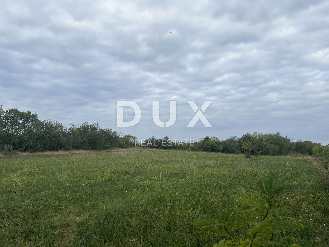 Fotografija