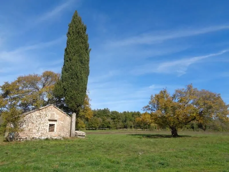 Fotografija