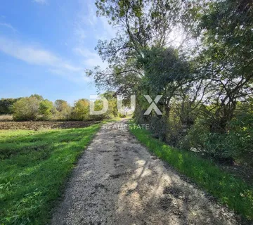 POLIČNIK, ZADAR - Poljoprivredno zemljište s izvorom pitke vode - cover