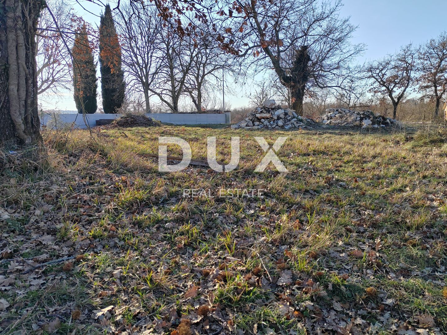Fotografija