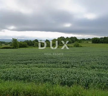 ISTRA, BARBAN - Poljoprivredno zemljište pored ruba urbanizacije s pristupnim putem! Odlična prilika! - cover