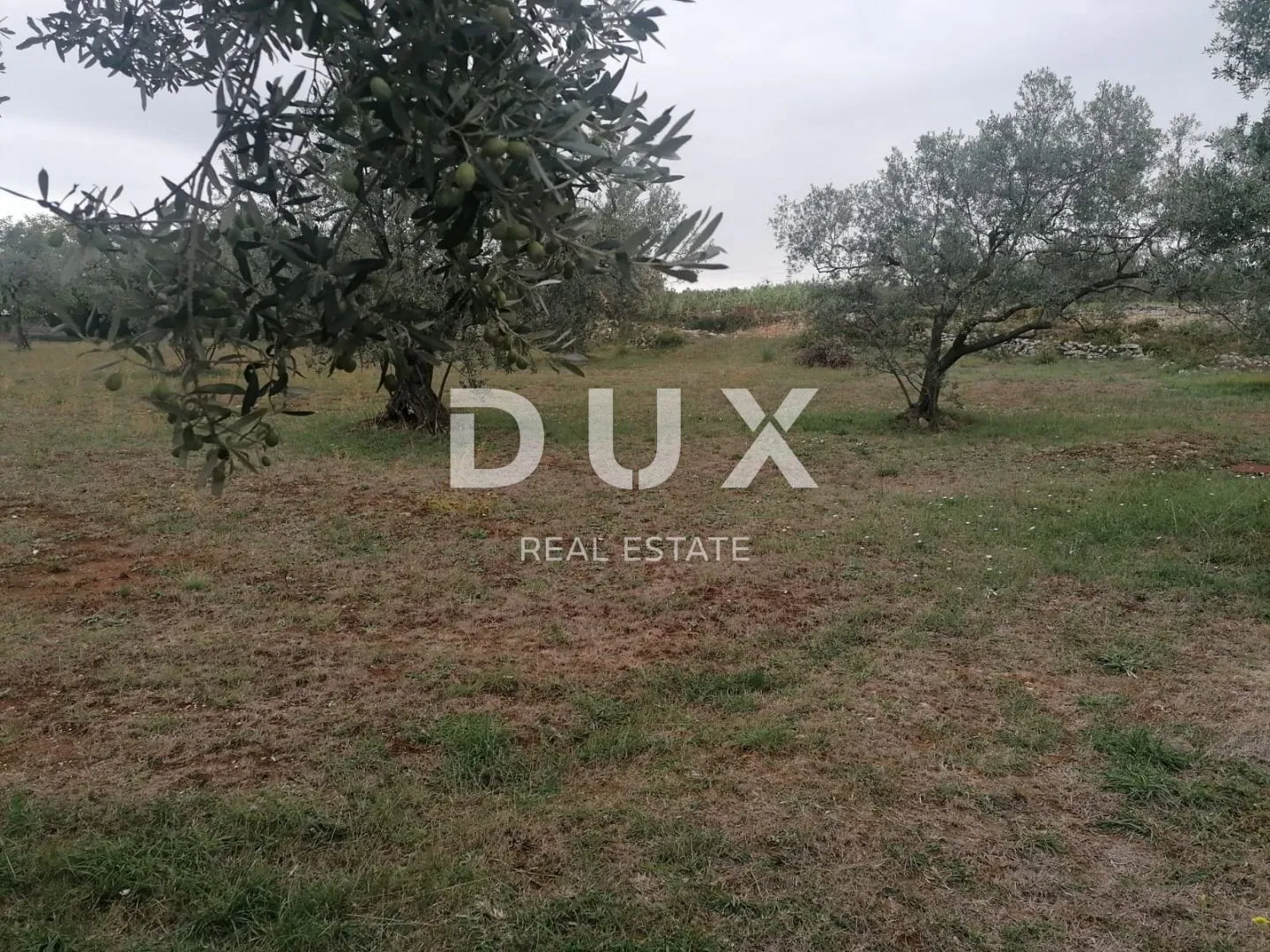 Fotografija