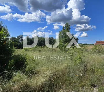 ISTRA, TINJAN - Dva građevinska zemljišta na mirnoj lokaciji!  - cover