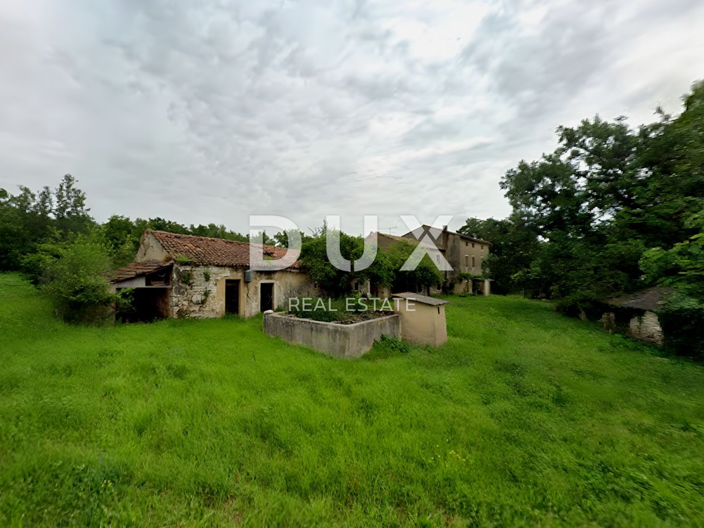 Fotografija