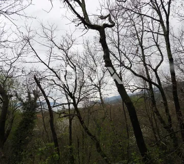 MATULJI – građevinsko zemljište površine 2838m2 za obiteljsku kuću / stambenu zgradu – stanove - cover
