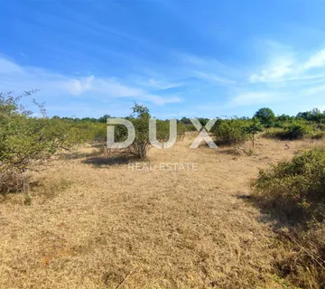 ISTRA, SALVELA - Prostrano zemljište  7379 m2!  - cover