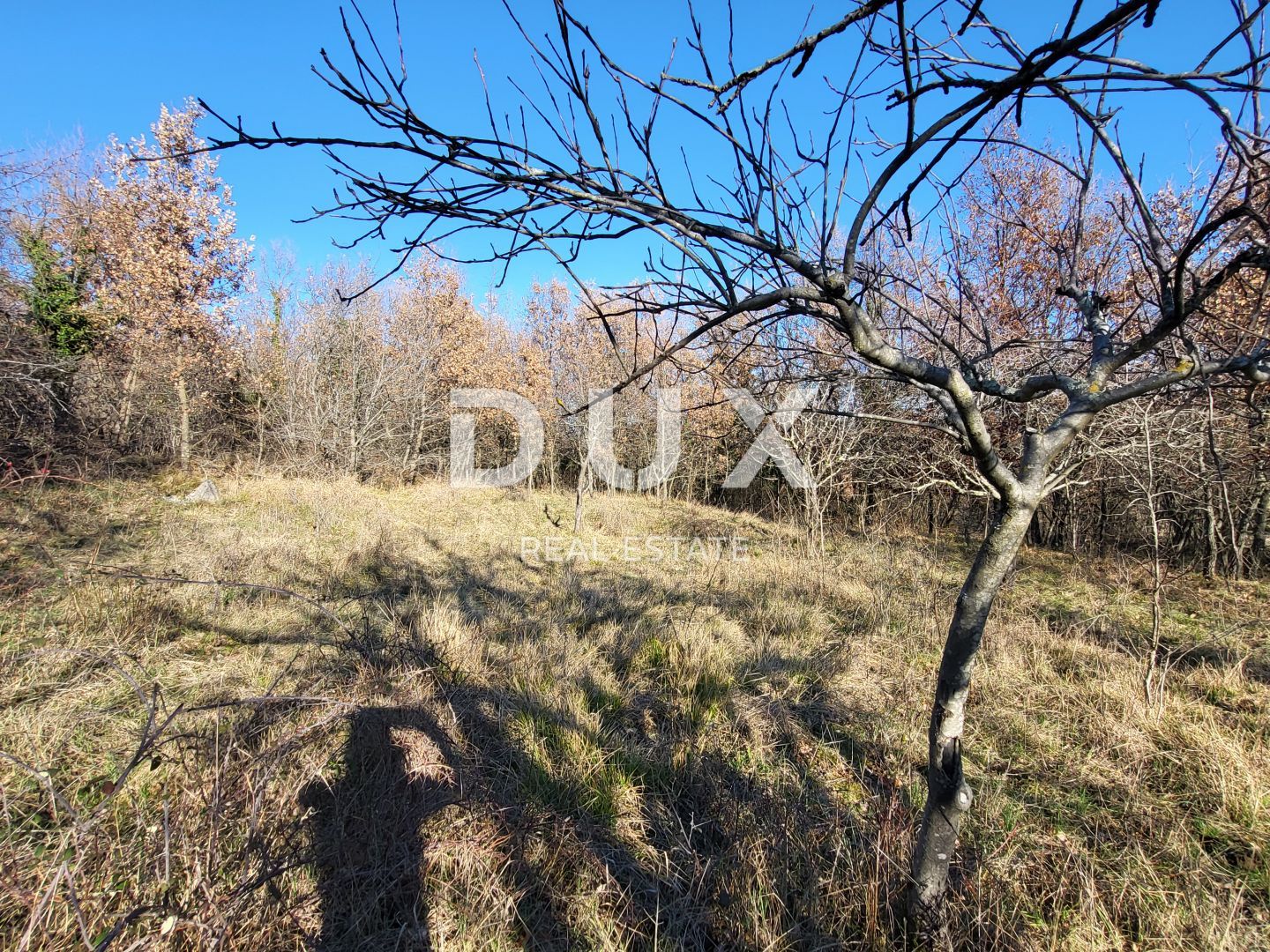 Fotografija
