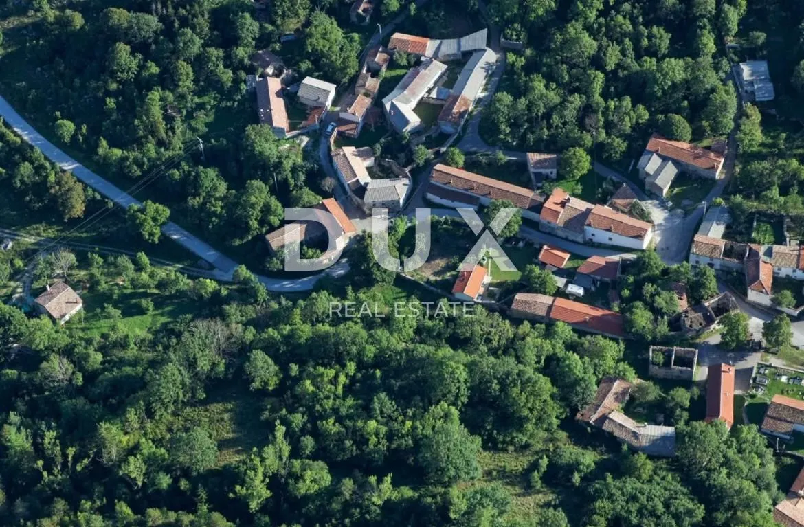 Fotografija