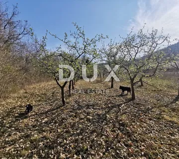 ISTRA, MOTOVUN - Prostrano poljoprivredno zemljište - cover