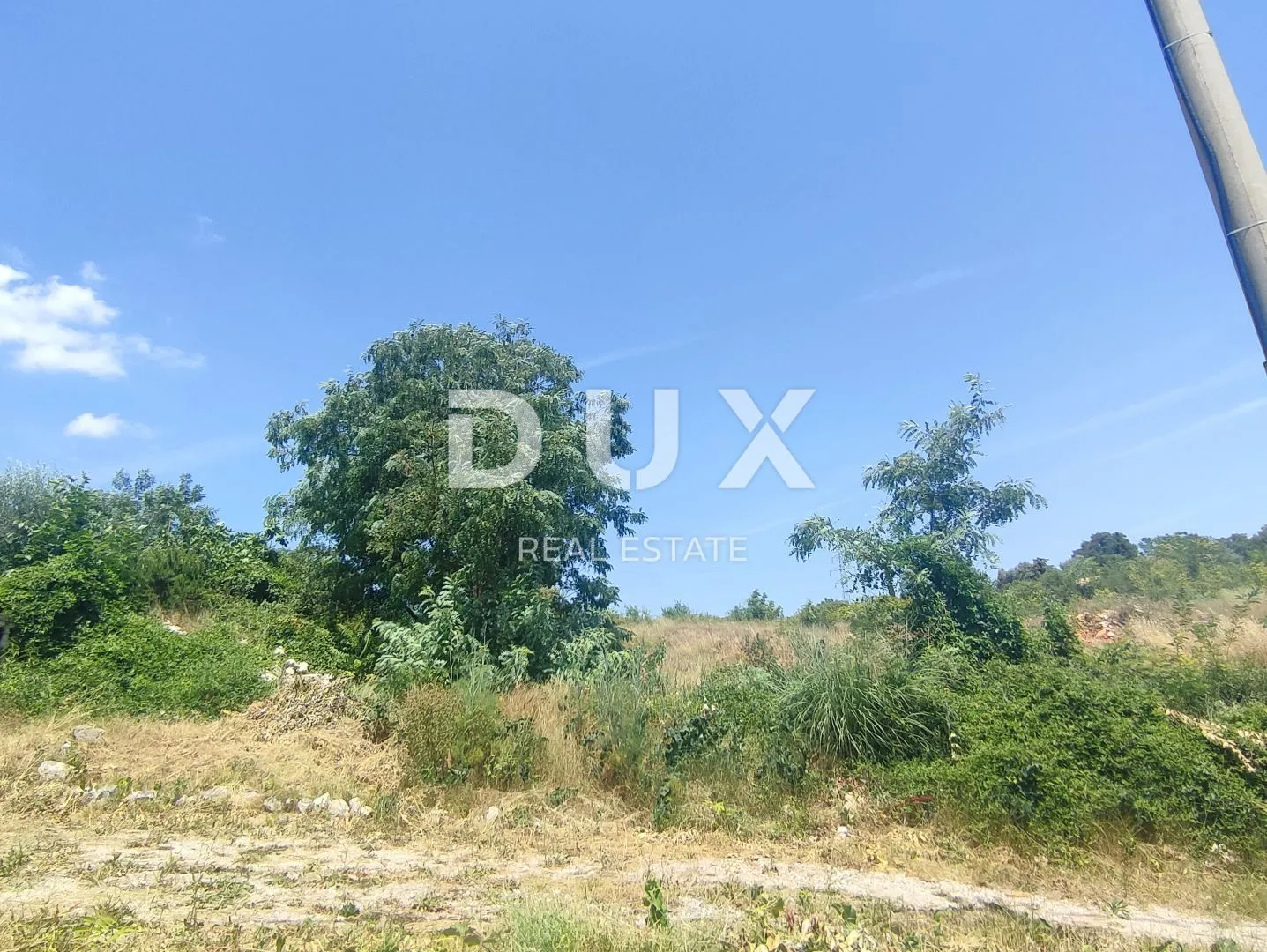 Fotografija