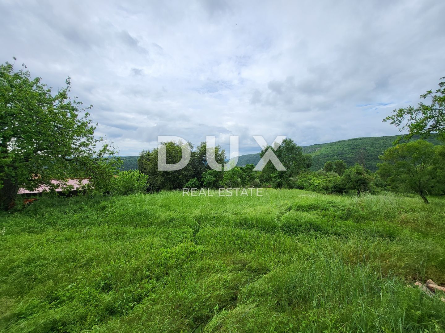 Fotografija