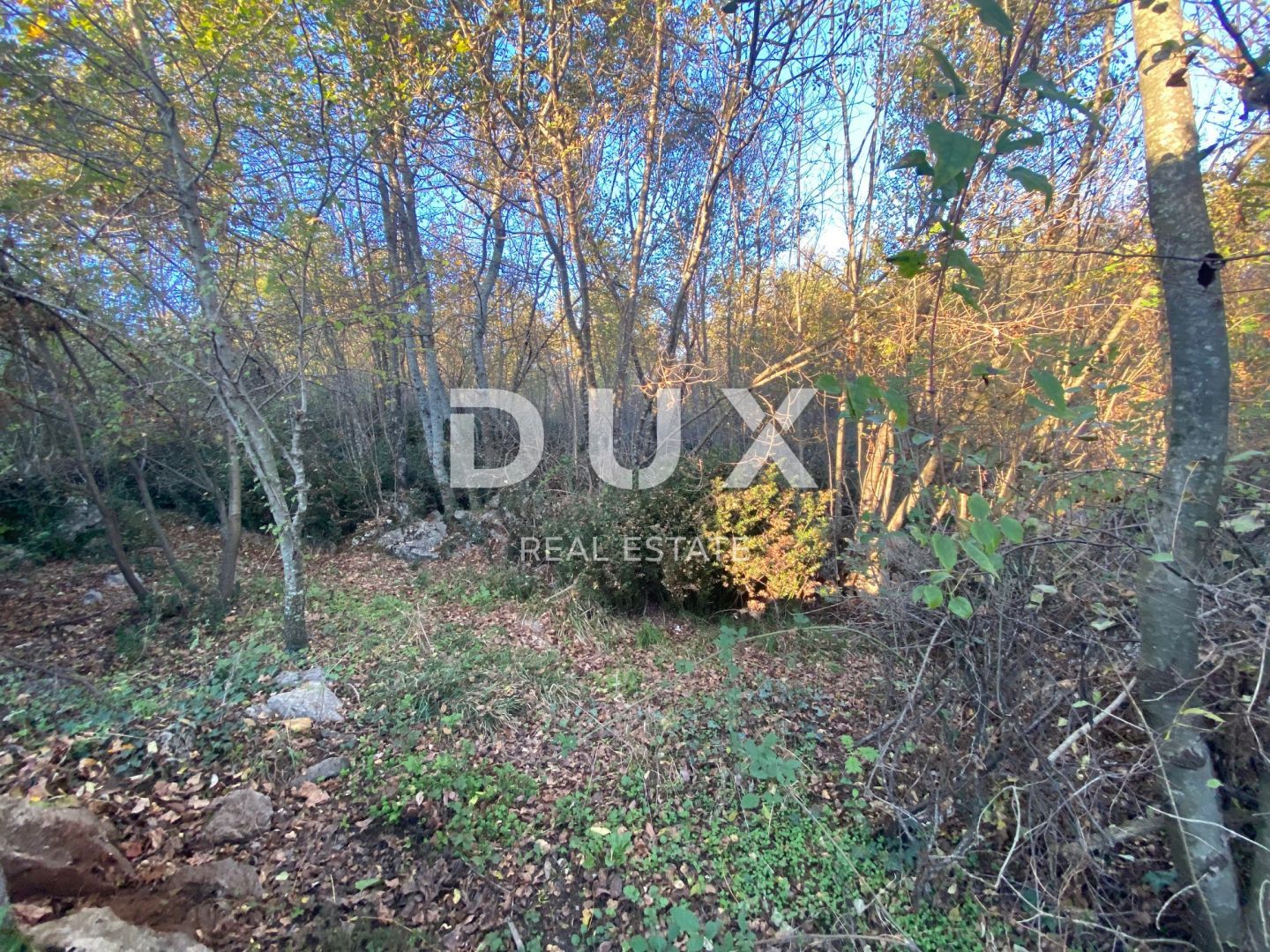 Fotografija