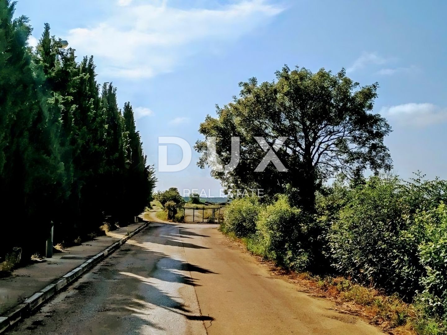 Fotografija