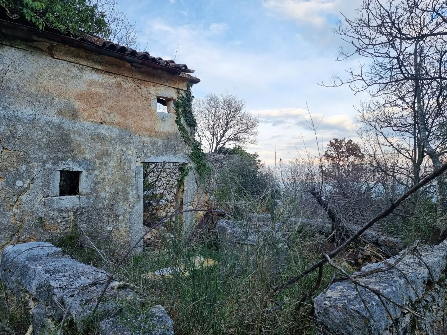 Fotografija