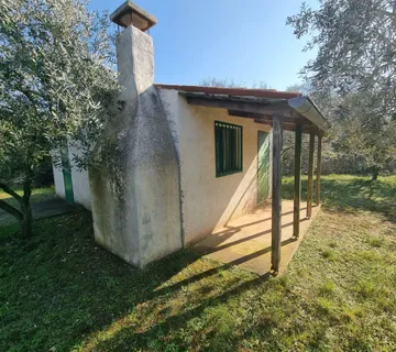 ISTRA, FAŽANA Predivan maslinik s kućicom - BLIZINA MORA!! - cover