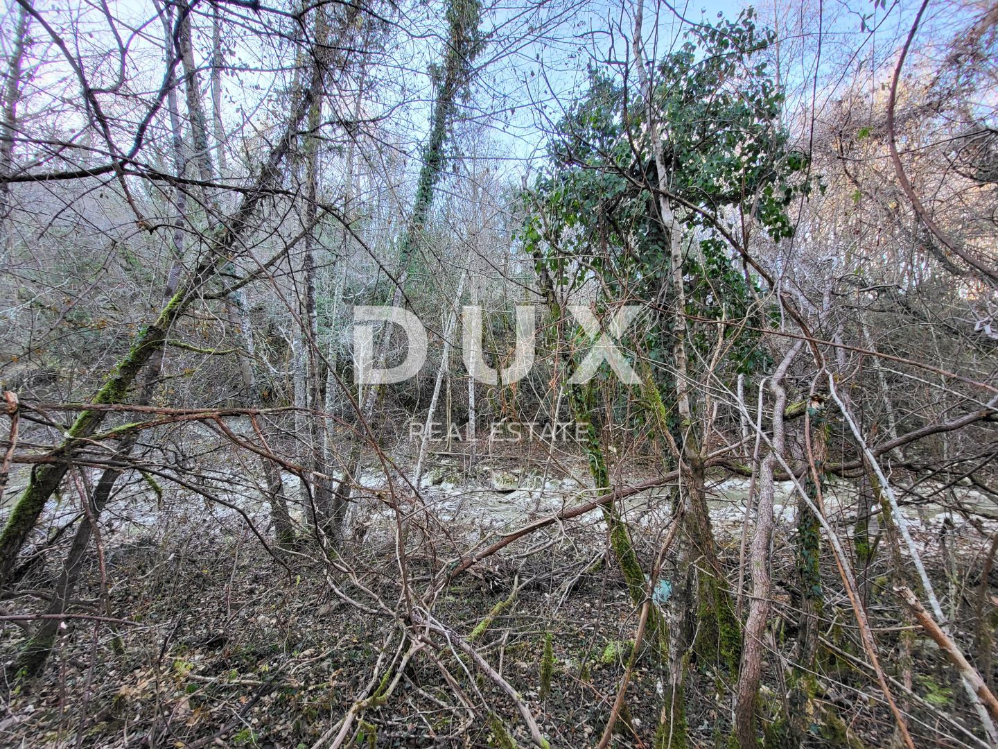 Fotografija