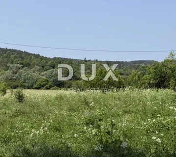 ISTRA,LANIŠĆE - Poljoprivredno zemljište P3 namjene - cover