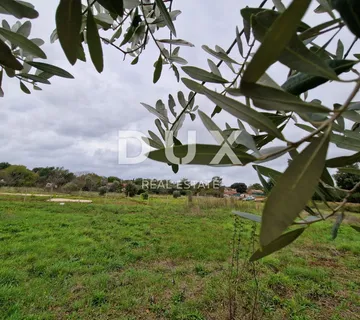 ISTRA, ROVINJ - Prostrano zemljište s dva objekta - cover