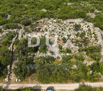 OTOK KRK, PUNAT - Mladi maslinik s otvorenim pogledom na more i Košljun - cover