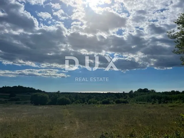 Fotografija
