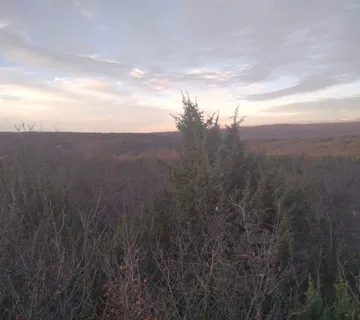 OTOK KRK, GRAD KRK - veliko poljoprivredno zemljište za razne komercijalne namjene! - cover