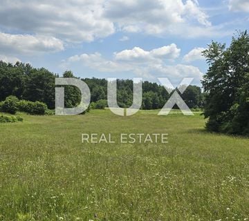 ISTRA, PIĆAN - Predivna livada površine 5938 m2 - cover