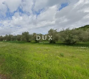 ISTRA, BUZET - Poljoprivredno zemljište uz asfaltiranu cestu - cover