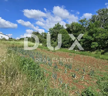 ISTRA, TINJAN - Zemljište za gradnju obiteljskog doma na rubu naselja - cover