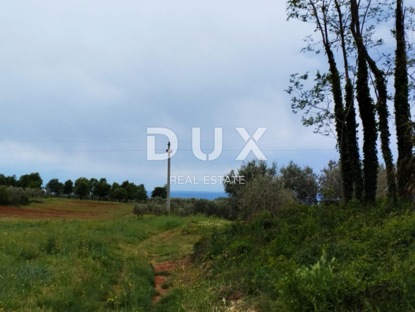 Fotografija