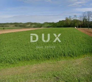 ISTRA, GRAČIŠĆE – prilika za investiciju ili miran dom – građevinsko zemljište 1705 m² u srcu istre! - cover