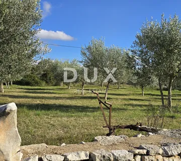 ISTRA, POREČ - Zemljište za gradnju nadomak Svetog Lovreča - cover