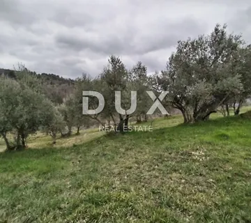 ISTRA, PAZIN, GRIMALDA - Prelijep maslinik s pogledom na jezero - cover