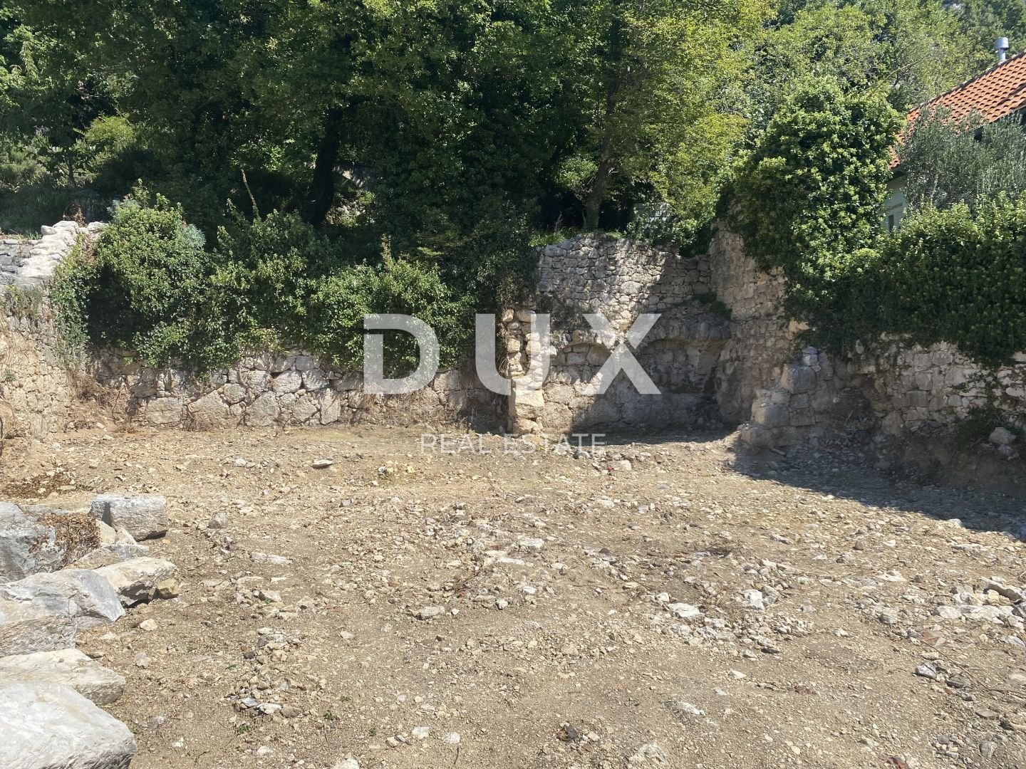 Fotografija