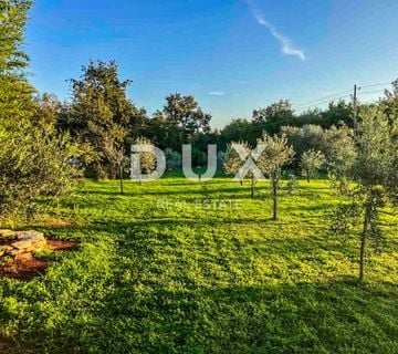 ISTRA, UMAG-Atraktivno poljoprivredno zemljište u blizini Umaga - cover