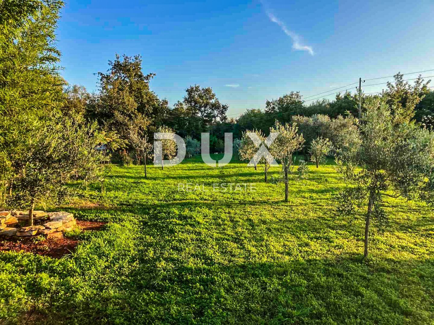 Fotografija