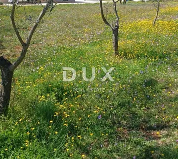 ISTRA, VODNJAN - Građevinsko zemljište u okolici Vodnjana sa potencijalom za više nekretnina! - cover