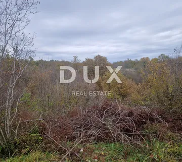 ISTRA, BARBAN - Poljoprivredno zemljište - cover