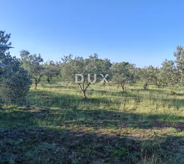 ZADAR, CRVENE KUĆE - Građevinsko zemljište u poslovnoj zoni! - cover