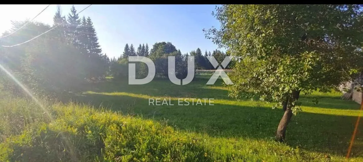 Fotografija