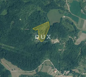 ISTRA, GRAČIŠĆE - Poljoprivredno zemljište, 9.810m2 - cover