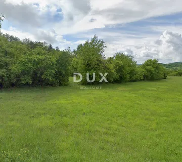 ISTRA, BUZET - Poljoprivredno zemljište uz asfaltiranu cestu - cover