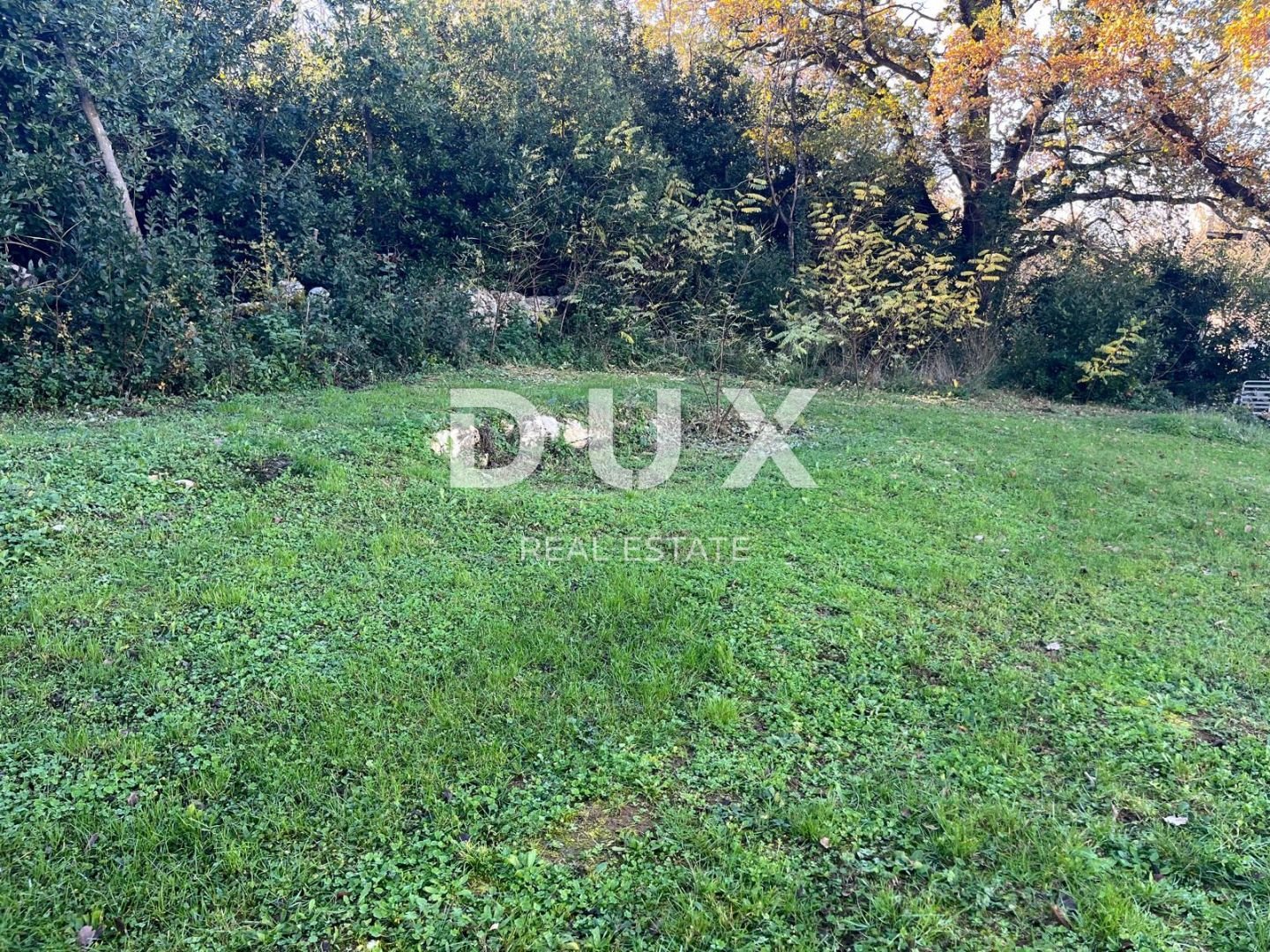 Fotografija