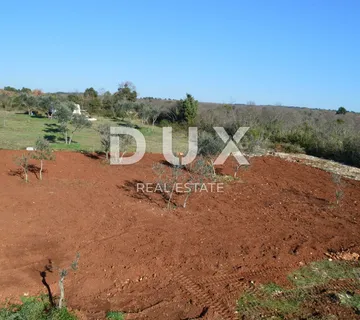 ISTRA, FAŽANA - Poljoprivedno zemljište - investicija!  - cover