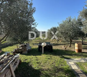 CRNO, ZADAR - Ograđeno zemljište s vrtnom kućom! - cover